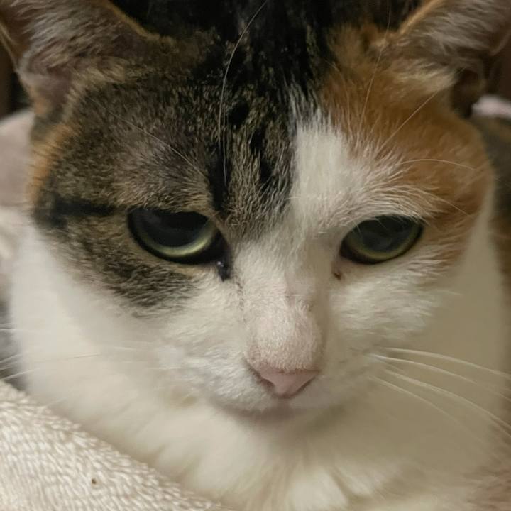 F722ddb8 0bfc 418f 889d 4fe98bdd685b 1636239984049