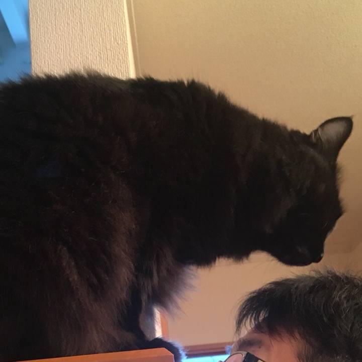 F722dfd6 0ae2 4435 b7e7 febd4fc335b4 1569279962648