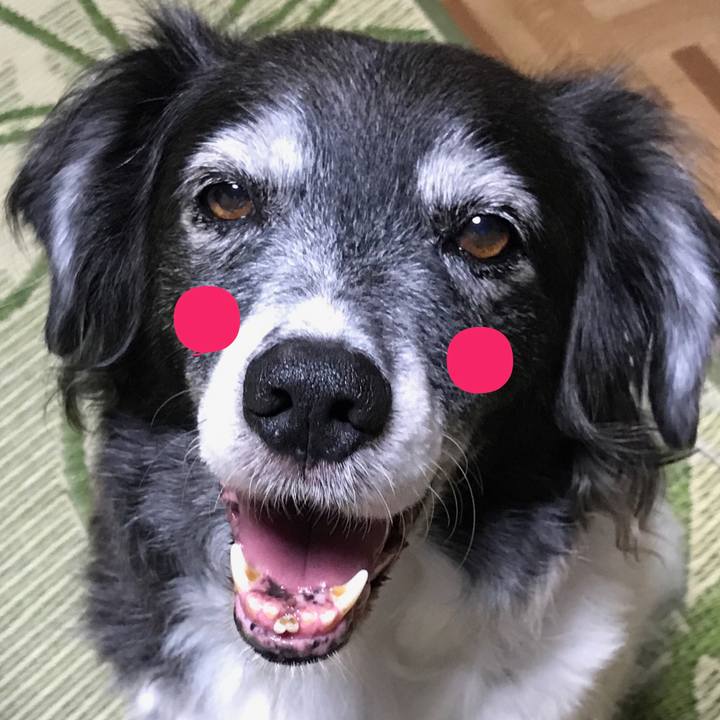 F722e6c3 88da 4b04 96db 7b23d0695463 1552125487466