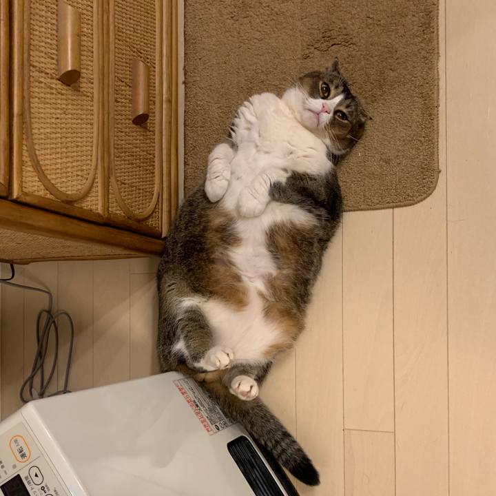 F722f5e5 822f 49ab a965 dd1628adf9c9 1587396984647