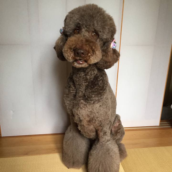 F7231f94 8dc4 4df3 867d 768600c076eb 1561899596910