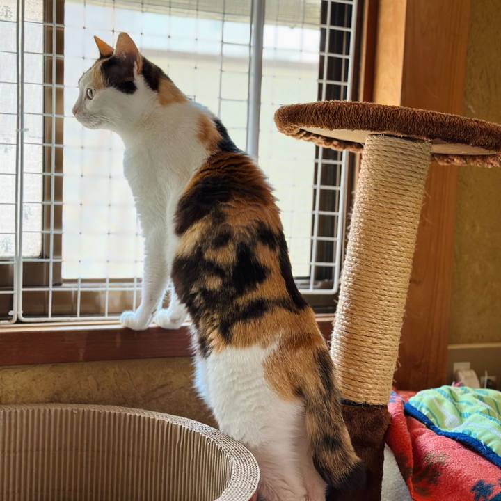 F72326a7 4c5b 4c73 9ef4 3318f3e28abb 1688693506429