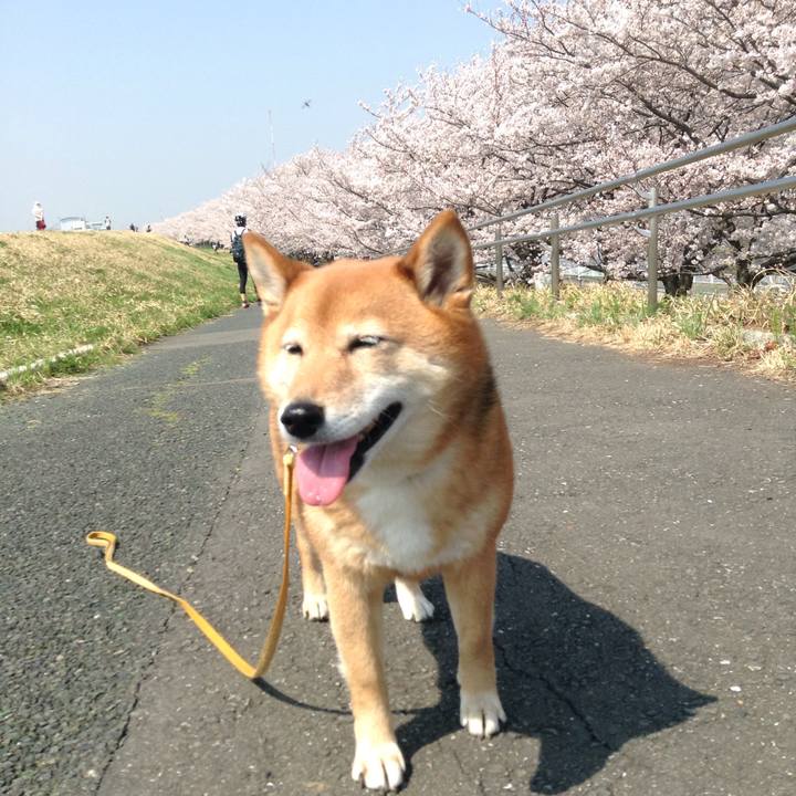 F7232eb2 9177 4dd0 90c0 6a5dba9f3480 1522219707175