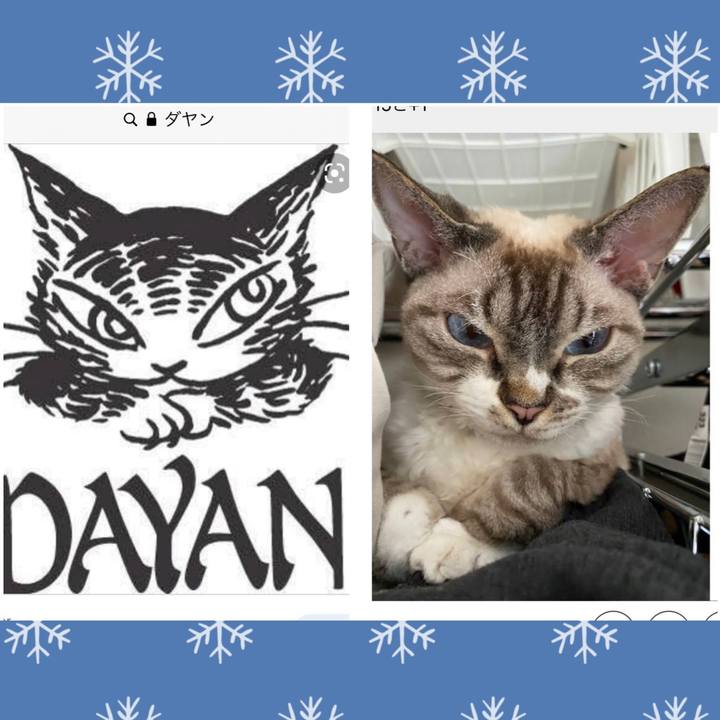 F7233809 6c6b 4648 8331 32f7af8e7976 1641452078220