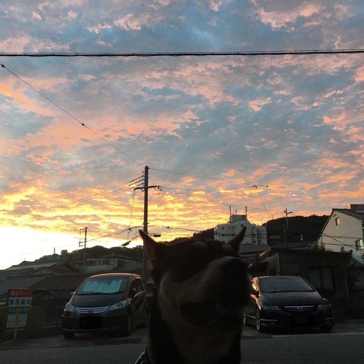 F7235c79 4193 4376 a0b8 0c353b606ae4 1531050750721