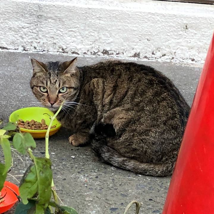 F7235d2d 2841 497e b211 fd83fb7d220a 1514583789885