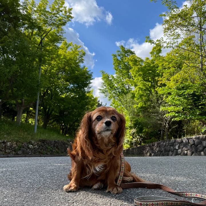 F72367d0 2f9f 431a be08 41a0217a084b 1745885593191