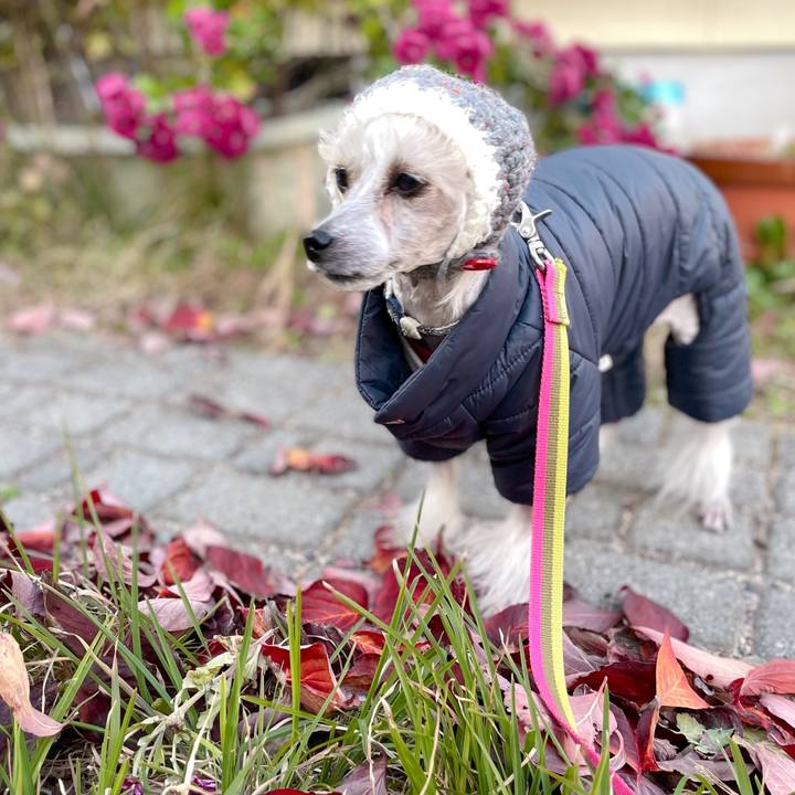 F72372d8 36d1 4bca 8c20 68ff6fc4d00e 1763624525160