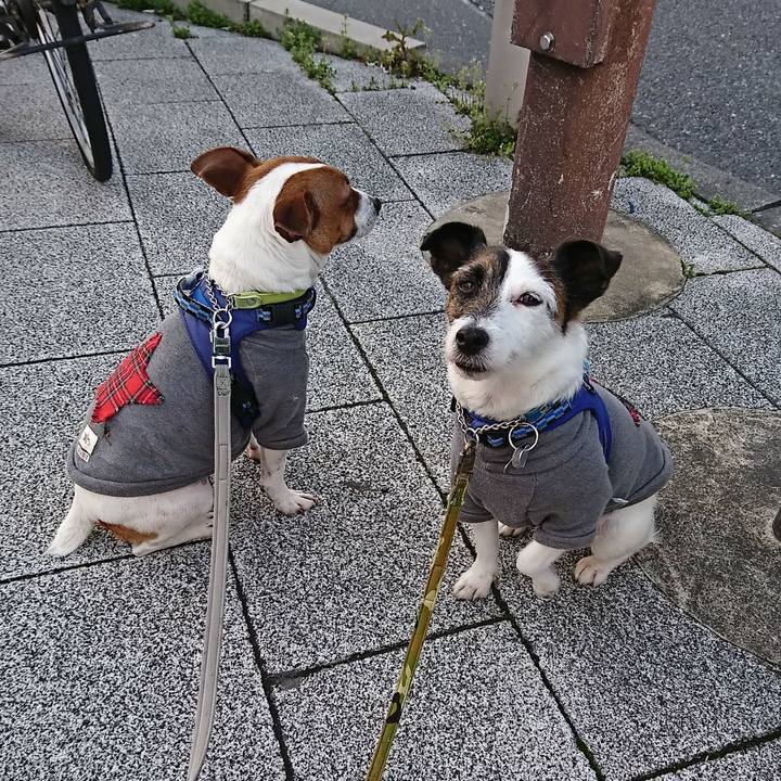 F7238479 359a 43cd b73b 384bacd9de26 1584052215633