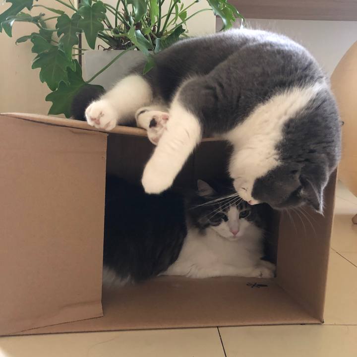 F723f04f e0c6 46d0 b1f2 df64c099a63c 1552784193660