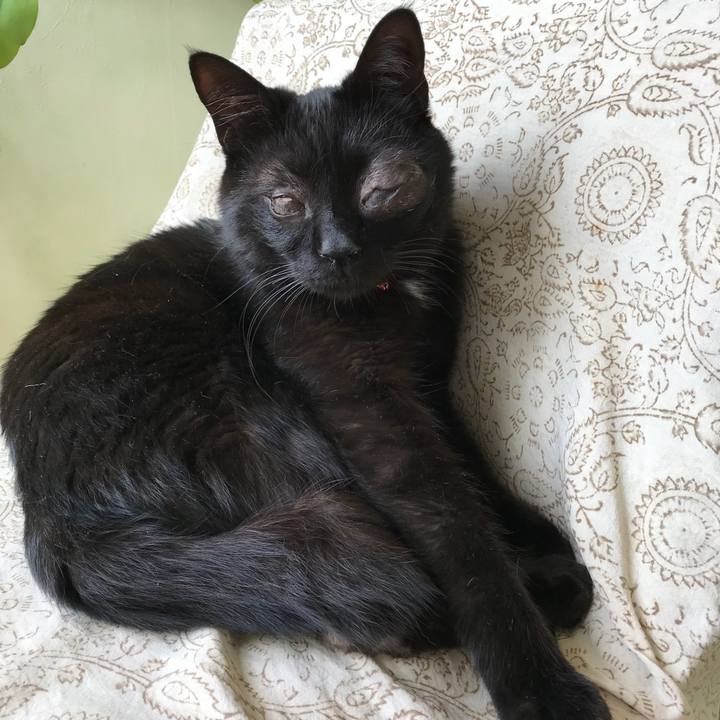 F7243618 b4c8 45c7 ad75 8dc61c682088 1526963447191