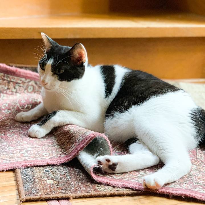 F72450f5 e0ae 40ba 9e29 f5af6c1ae089 1569549529098