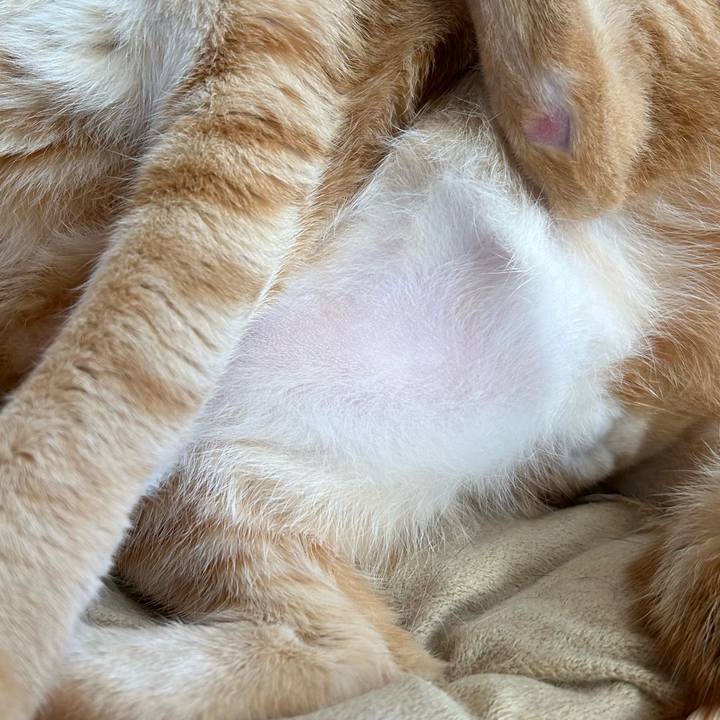 F72474d0 21b6 41f8 89c8 3c24582c8759 1681337547501