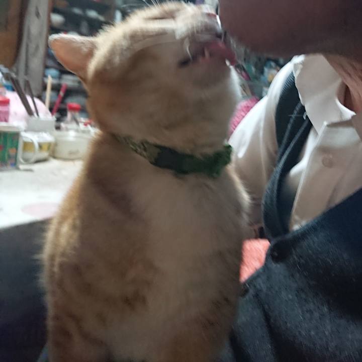 F7247e72 ec06 4f4b 820c 6118a811a76c 1585910293328