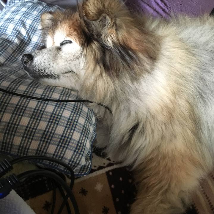 F7248cd3 2425 43be 8470 68b551677fc5 1601191518642