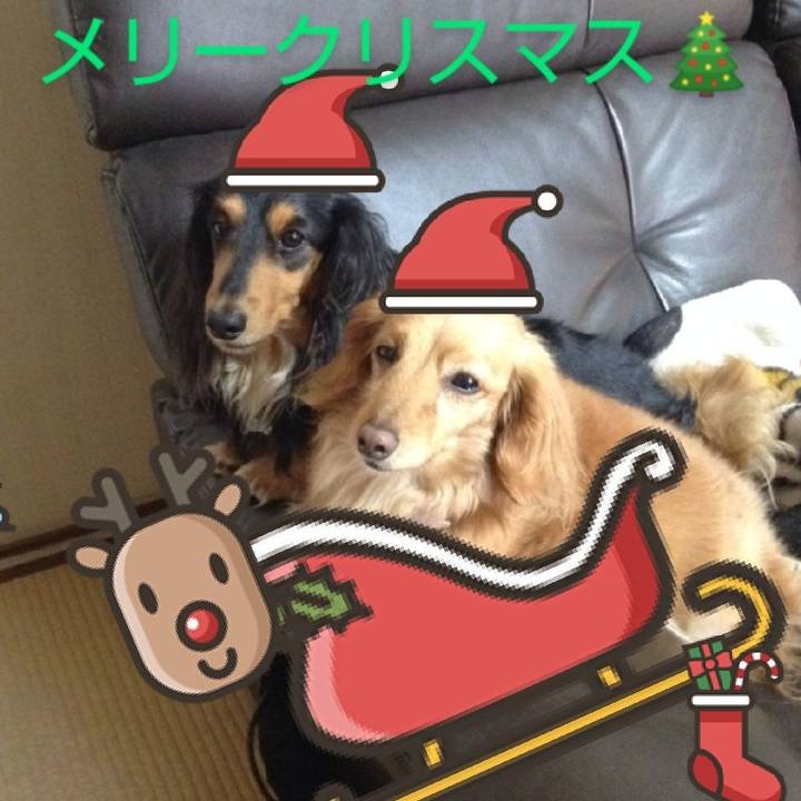 F7249b69 fc14 47f2 b656 b9f7817ab0d1 1608802565106