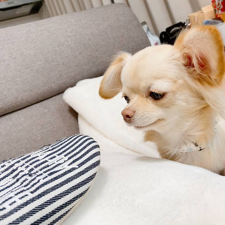 F724b484 ca85 4d35 9869 8857ee2dc1fa 1610355104070