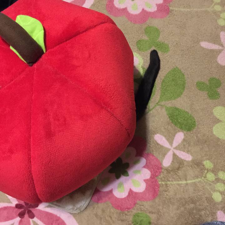 F724c1d3 151d 4aa7 82fc 1563fc2418a4 1519125534298