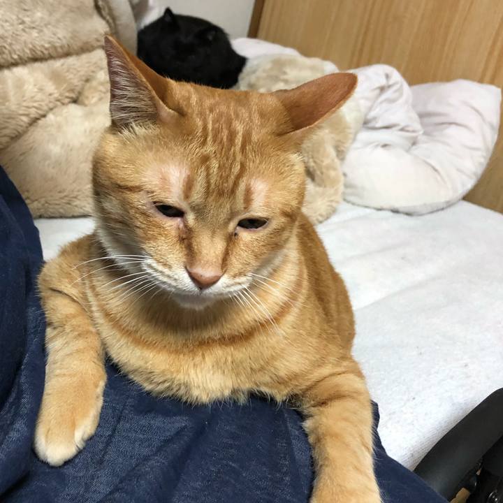 F7253071 d726 4f49 8bf3 5fd1e7236534 1619528338872