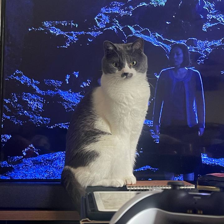 F7254048 62eb 488f 987c 30cd1ccc6204 1681195811311