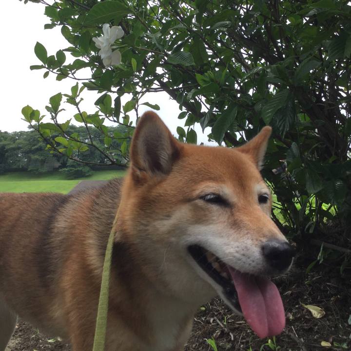 F725bac7 5b2b 4f0a 8f52 45037f928567 1562134437981