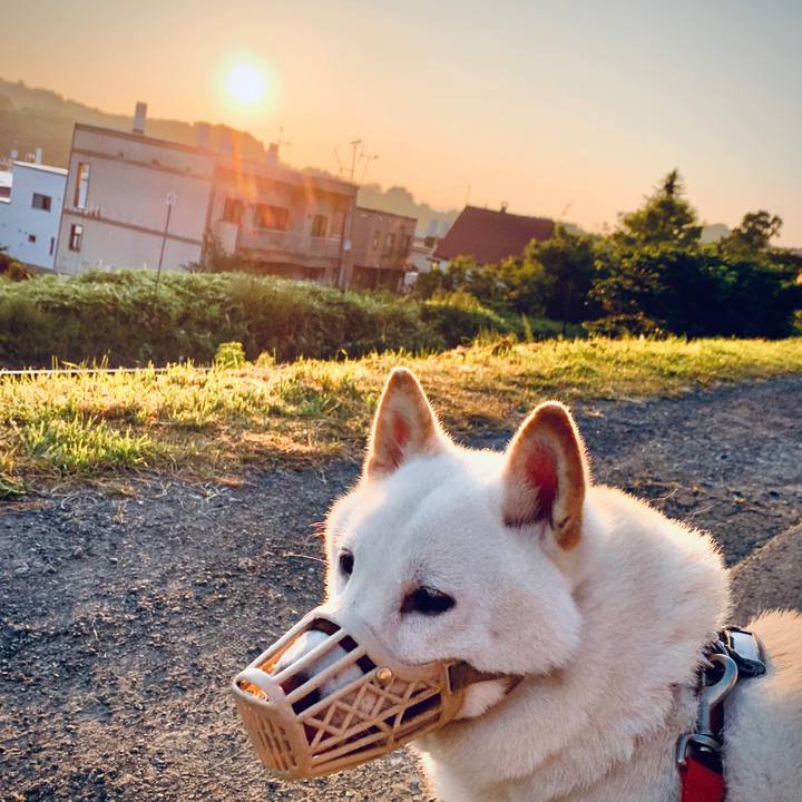 F725bad4 ad58 4c95 8fe9 9856ef537a50 1596229325099