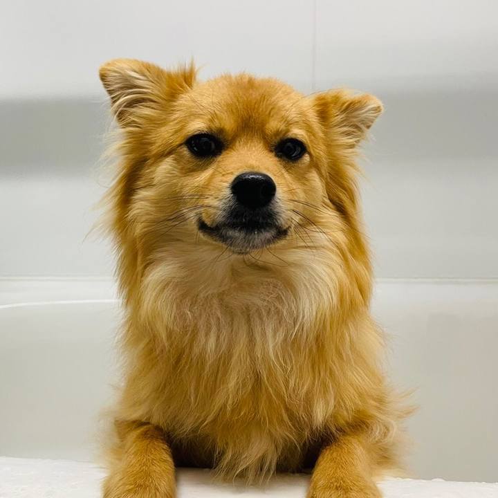 F725e5f3 9a4a 425f b72d 021d40c140f8 1643845846703