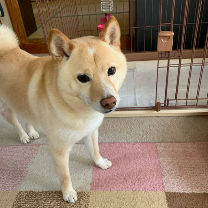 F725eec2 7ec1 431e 8b52 fd9f45e01477 1621983777208