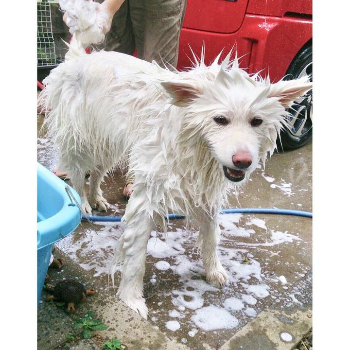 F725efe0 d074 450b 99fd 33bcd195885b 1534674852449