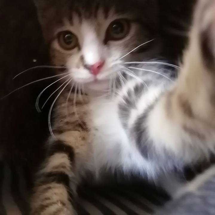 F726138c 7554 4215 b90c 1a42498eb61c 1658623138620