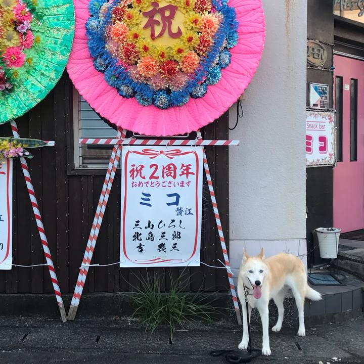 F72675fc d530 44c4 997a d3385bb9c543 1757152005211