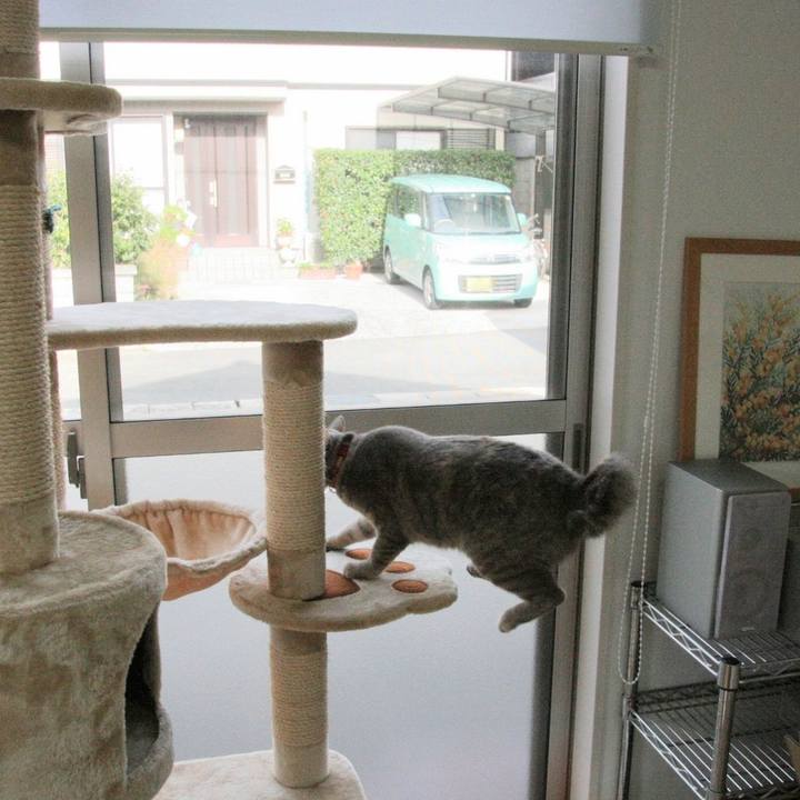 F7269a66 016b 4c0b ac7f 7741916aadf5 1509098770713