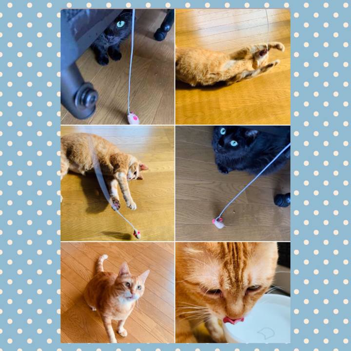 F72700ef f4ae 4e95 8be6 3b39a8072ca8 1599194868638