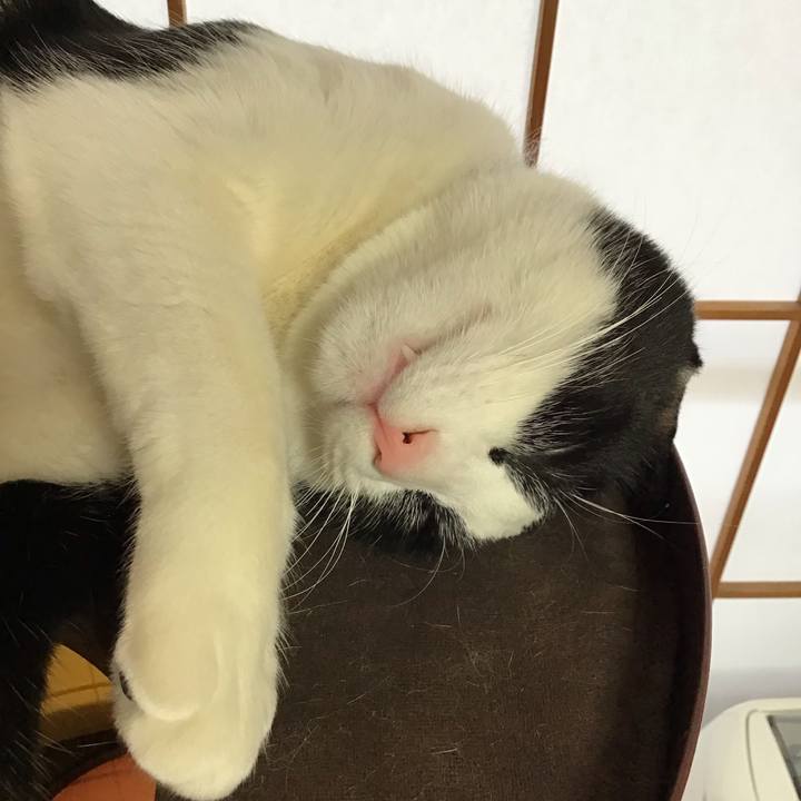 F72734cb 2884 46f9 bd56 8e4b22f73637 1644540614637