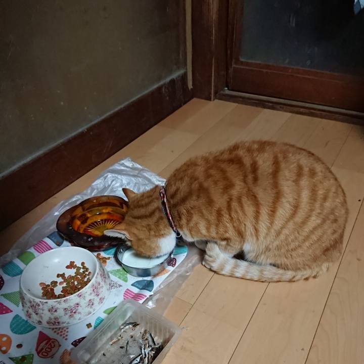 F7277b6c a5da 43c8 a21f bd01a007069d 1606381051687