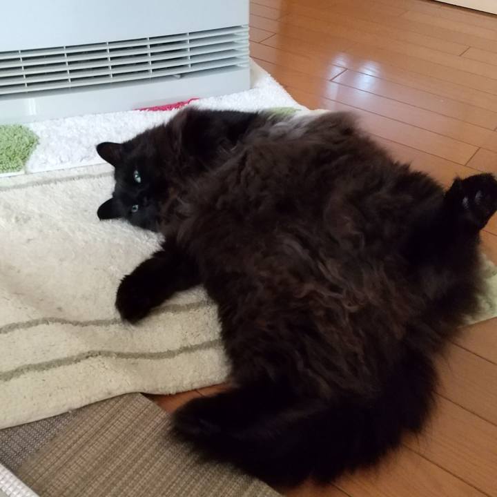 F7277c84 0e08 4802 aaee fe3997c5497d 1580944722518