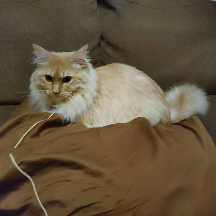 F7278727 f732 447d 87b0 6af362f53769 1654685677332