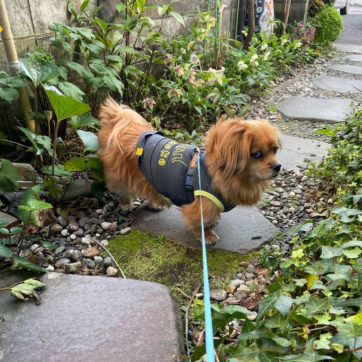 F727bfb9 553e 4f87 86f9 11c4e83e61e2 1617142129941