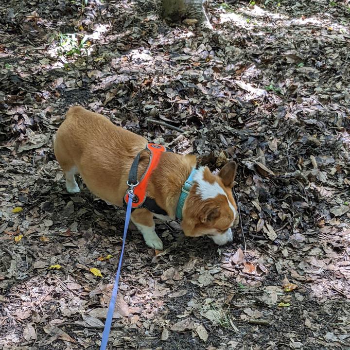 F727c178 28d0 41db 8a2d 96d0fed830d7 1689037874296