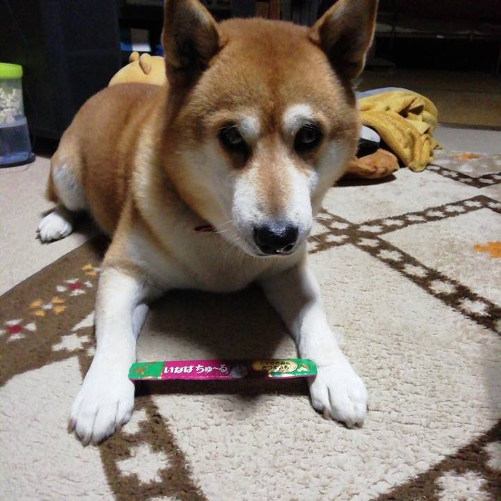 F72874a2 1651 4dd9 9763 ed4b9aa0fddc 1606087029247