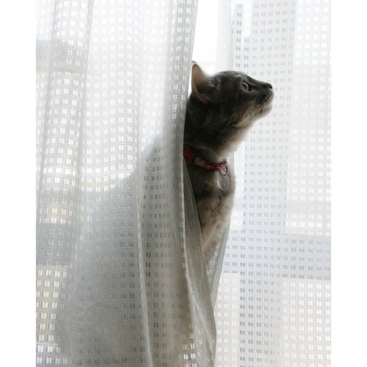 F7289a04 33f2 4590 9924 b484a8c419f9 1519528470137