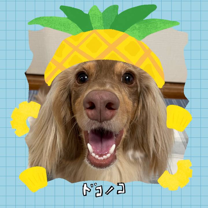 F728f610 bc6b 43e1 b845 aac8aeddcaae 1783505982490