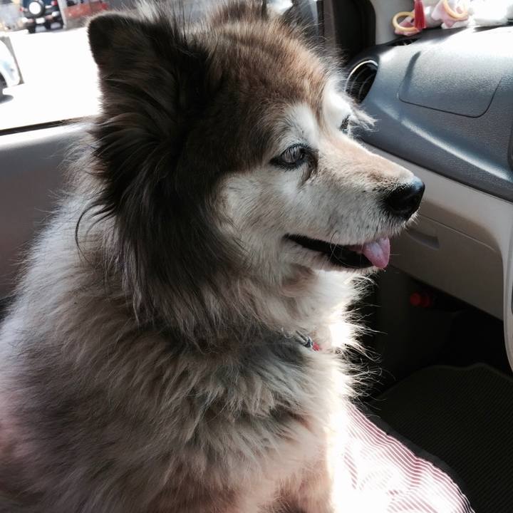 F7291ec8 5d5f 4f3e 95d9 ceb2c0289b41 1568032051044