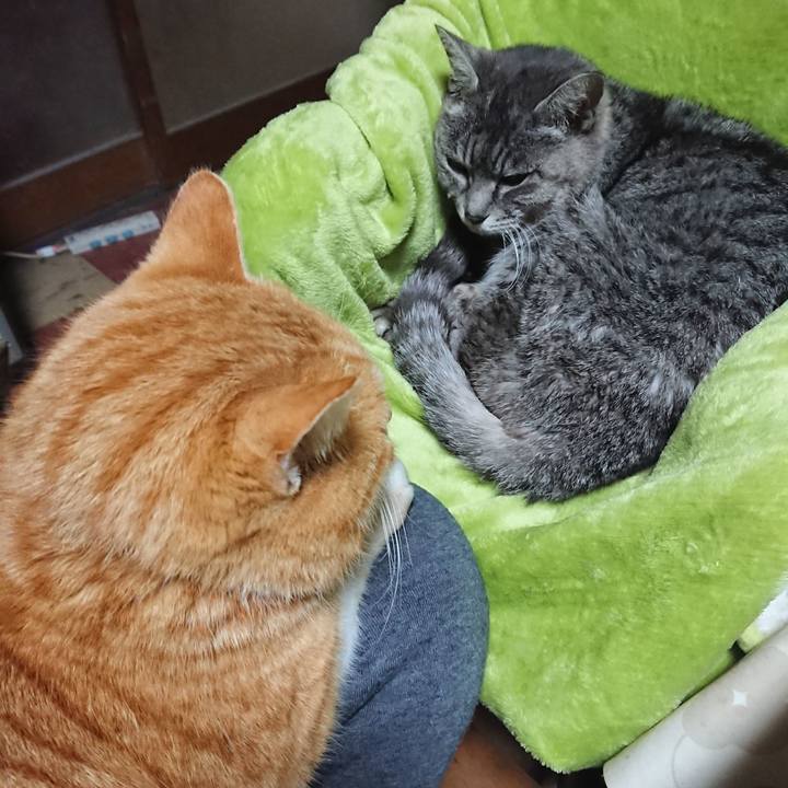 F7298e4f 2fe9 4238 a3ed eee8333de217 1582430648285