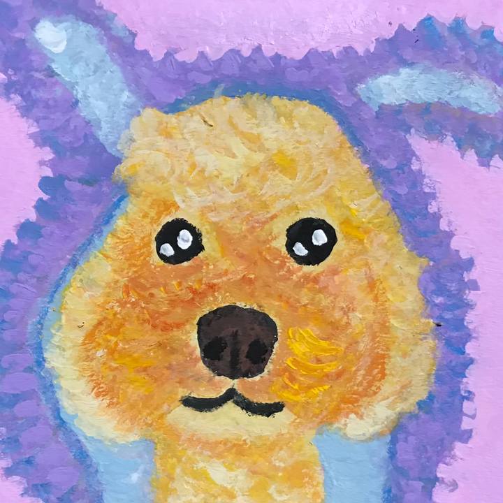 F729e814 1ccc 4479 8dcb d28b8ea44b78 1542975122674