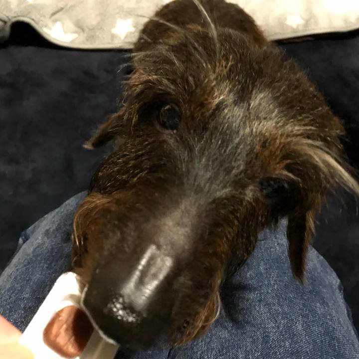 F729fc0e 9bf8 42bf 947f 0b07456b95fd 1556720946746