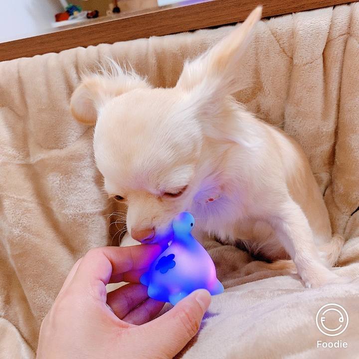 F72a4171 3bdc 4d97 88b3 8d3d6d9c90ad 1608792839849