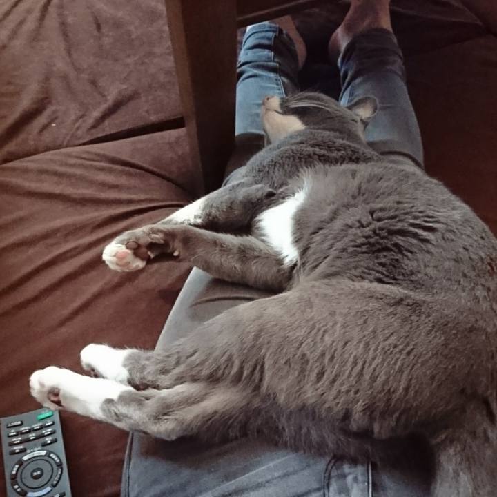 F72a9f67 c558 4da9 92ad effa49ec9011 1507783583837