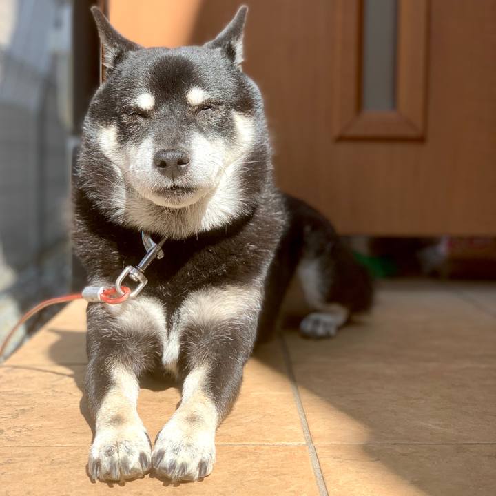 F72ab1cb 9edd 4db5 8259 11a03442d3ab 1697162869372