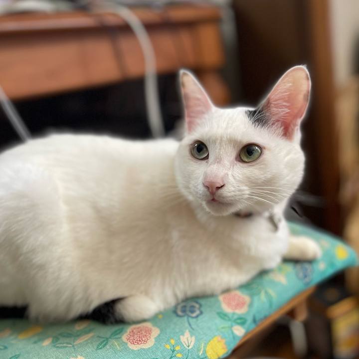 F72ab4ae eb37 4de6 9fb2 532268bcbcd3 1739413767513